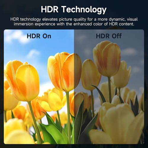 Image of AYY Portable Monitor 18.5 Inch 100Hz 100% sRGB,1080P FHD IPS Large Portable Monitor with Kickstand,for Laptop HDMI HDR USB C Mac PC Xbox PS4 /5 Switch