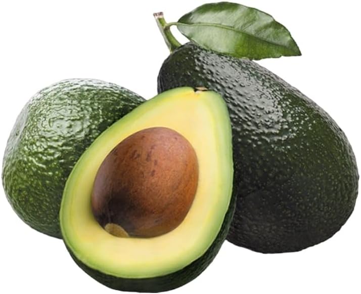 Avocado