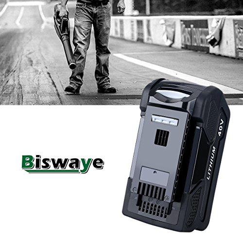 Biswaye 29472 Replacement Lithium Battery 40V 5.0Ah for GreenWorks 40V G-MAX Power Tools 29462 29252 20202 22262 25312 25322 20642 22272 27062 21242