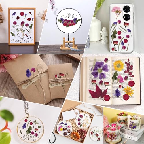 12 Beutel Getrocknete Blüten für Seife, Getrocknete Blumen Seife Herstellen mit Pinzette, Seife DIY Trockenblumen Klein Kit, Seifenherstellung Zubehör für Seifenherstellung Kerzenherstellung