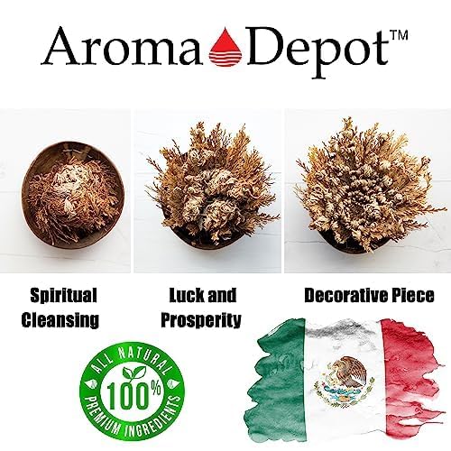 Flor de Jericó seca grande para limpieza espiritual miniatura 5