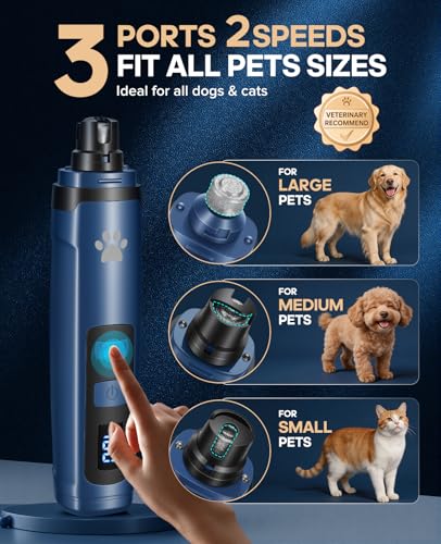 Broyeur à ongles pour chien avec LED lime rechargeable 2 vitesses