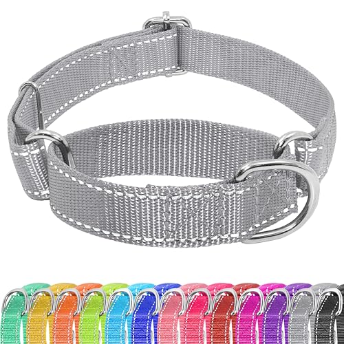 slip and martingale collars for dogs