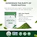 Tenzo Matcha Green Tea Powder - Matcha Powder USDA Organic Ceremonial Grade – Macha Powder Paleo, Kosher, Vegan – Authentic Japanese Matcha Tea - Original Matcha Latte Powder (1.06 Ounce)