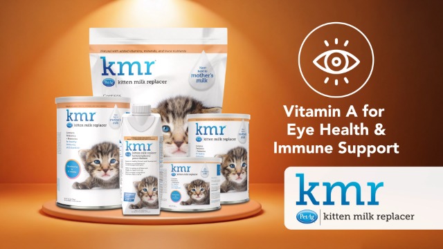 Amazon.com: Pet-Ag KMR Kitten Milk Replacer Powder - 12 oz, Pack