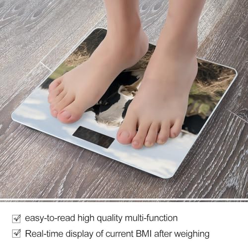 Báscula digital para baño Cute Cows con pantalla LCD miniatura 5