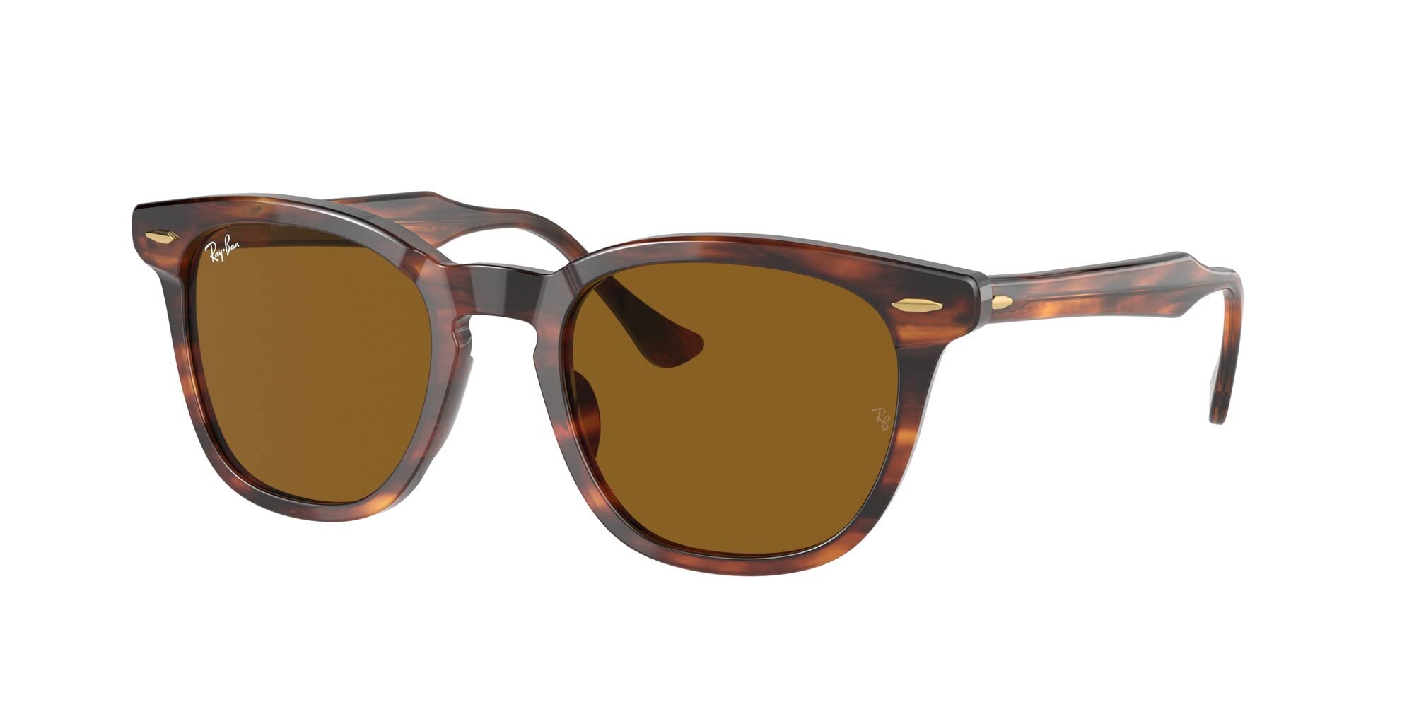 Ray-Ban RB2298 Sunglasses Bundle: RB 2298 954/33 Hawkeye Striped Havana Brown and Eyewear Cleaning Kit