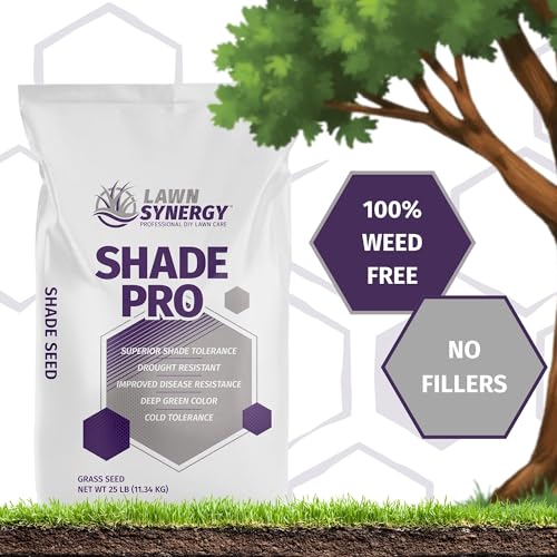 Grass Seed Blend For Shady Lawns Low Sunlight