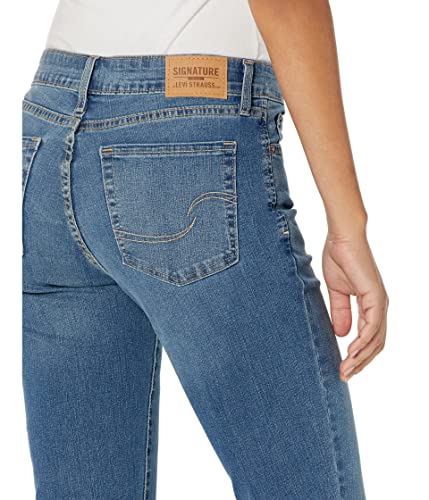 Levi Strauss Signature Gold Label Mid-Rise Slim Boyfriend Jeans One and Only 20 253