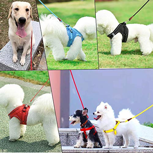 SEPXUFORE 6FT/8FT/10FT Rope Dog Leash, 10+ Colors Classic Leash, 1/4” and 1/2” Strong Nylon Climbing Leash with Leather Tailor Connection, for Small Medium Large Pets (1/2\" x 6\', Yellow)