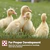 Purina | Nutritionally Complete Duck Feed for All Life-Stages | 4.5 Pound (4.5 LB) Bag