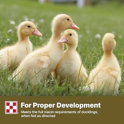 Purina | Nutritionally Complete Duck Feed for All Life-Stages | 4.5 Pound (4.5 LB) Bag
