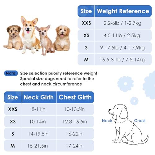 SlowTon Puppy Harness and Leash Sets - Image 3