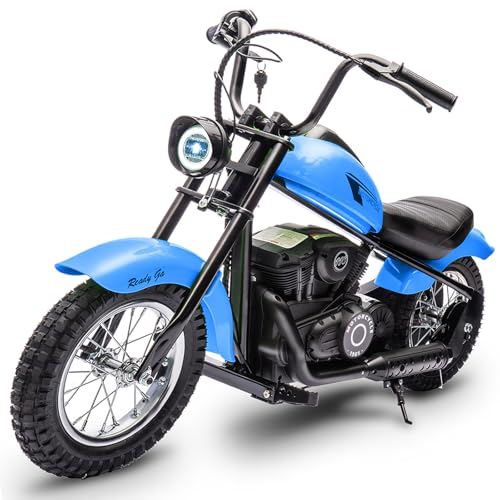 Electric Motorcycle for Kids, 24V 250W Dirt Bike, Two Speed
