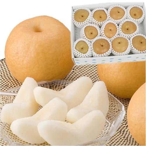 新高梨 秀品 3kg（6～9個）