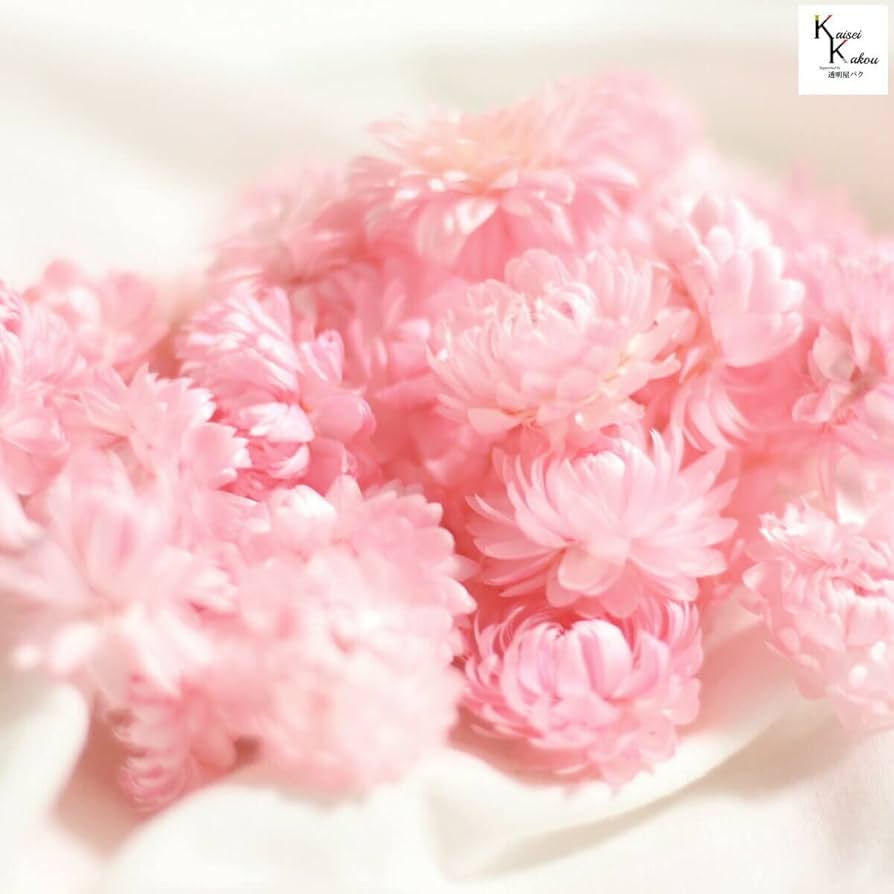 ドライフラワー花材セット。:°ஐ..♡*ヘリクリサム♡♡ Amazon | 大地農園！ドライフラワー 5g分 「ヘリクリサム