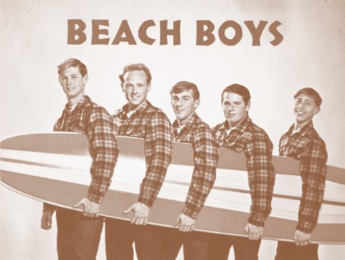 Amazon.co.jp: The Beach Boys With Surfboard 11 