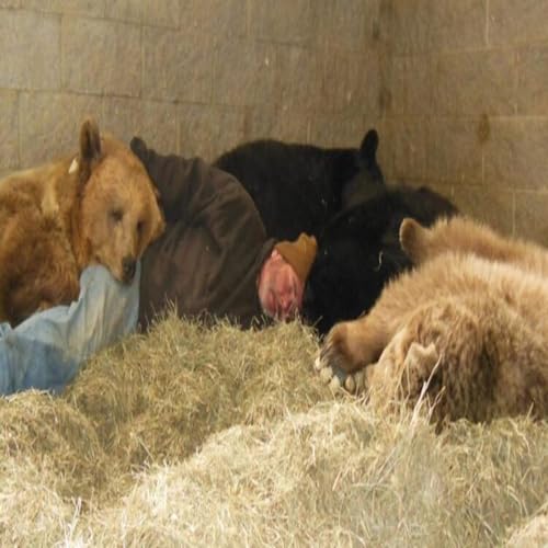 Guidance choices, sweating bullets, and discussing Timmyboy's resourcefulness