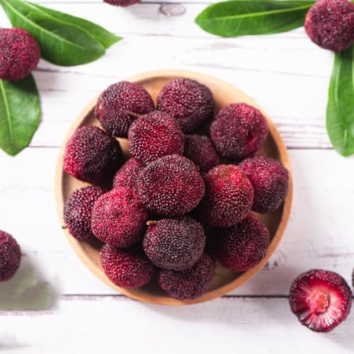semillas de madroño - de jardín resistentes, semillas saladas árbol decorativas jardín interior frutas columnares frutas arboles frutales 25pcs