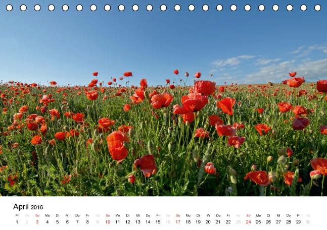 MohnZeit (Tischkalender 2016 DIN A5 quer): Landschaften voller Mohnblüten (Monatskalender, 14 Seiten ) (CALVENDO Natur)