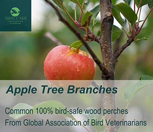 Luonfels-Bird-Perches-Large-Ladder-Birds-Cage-Accessories-18-Inches-Apple-Branch-Wooden-Bridge-Play-Stand-for-Cage-Accessories