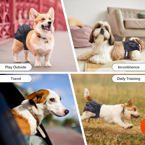 Image of Reusable Dog Diapers Female Washable, Premium Doggie Diaper for Dogs, Pack of 3, Highly Absorbent Small Dog Diaper for Heat, Incontinence and Puppy Training(S)