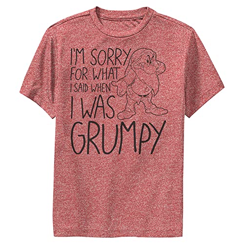 T-shirt Disney Grumpy enfant mixte pour habiller les petits difficiles