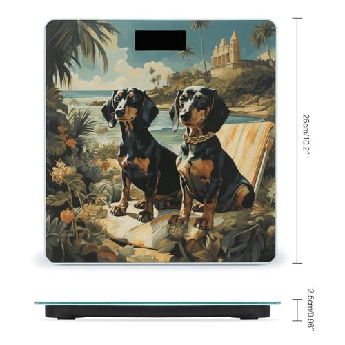 Báscula digital de baño Dachshund Dog Bento de alta precisión miniatura 2