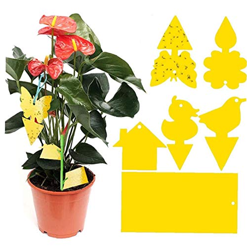 Yellow Sticky Fly Vallen Fly Stickers Opknoping Catcher dubbelzijdige Pluggable platen Protection for Plant Fruit - Image 7
