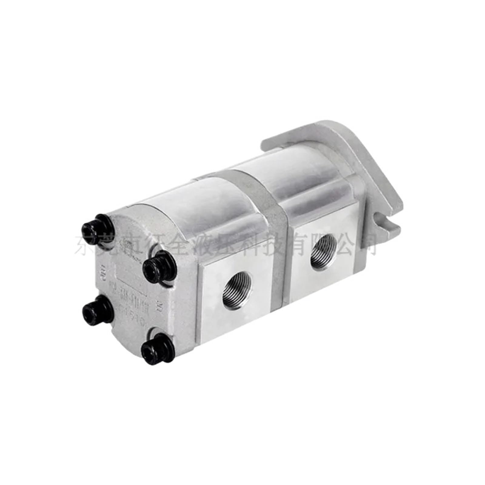Knwhggkcv Hgp-33A-F28-28R 1Pcs Hgp-33A Dual Oil Pump Custom Combination Hydraulic Pump(Hgp-33A-F28-28R)