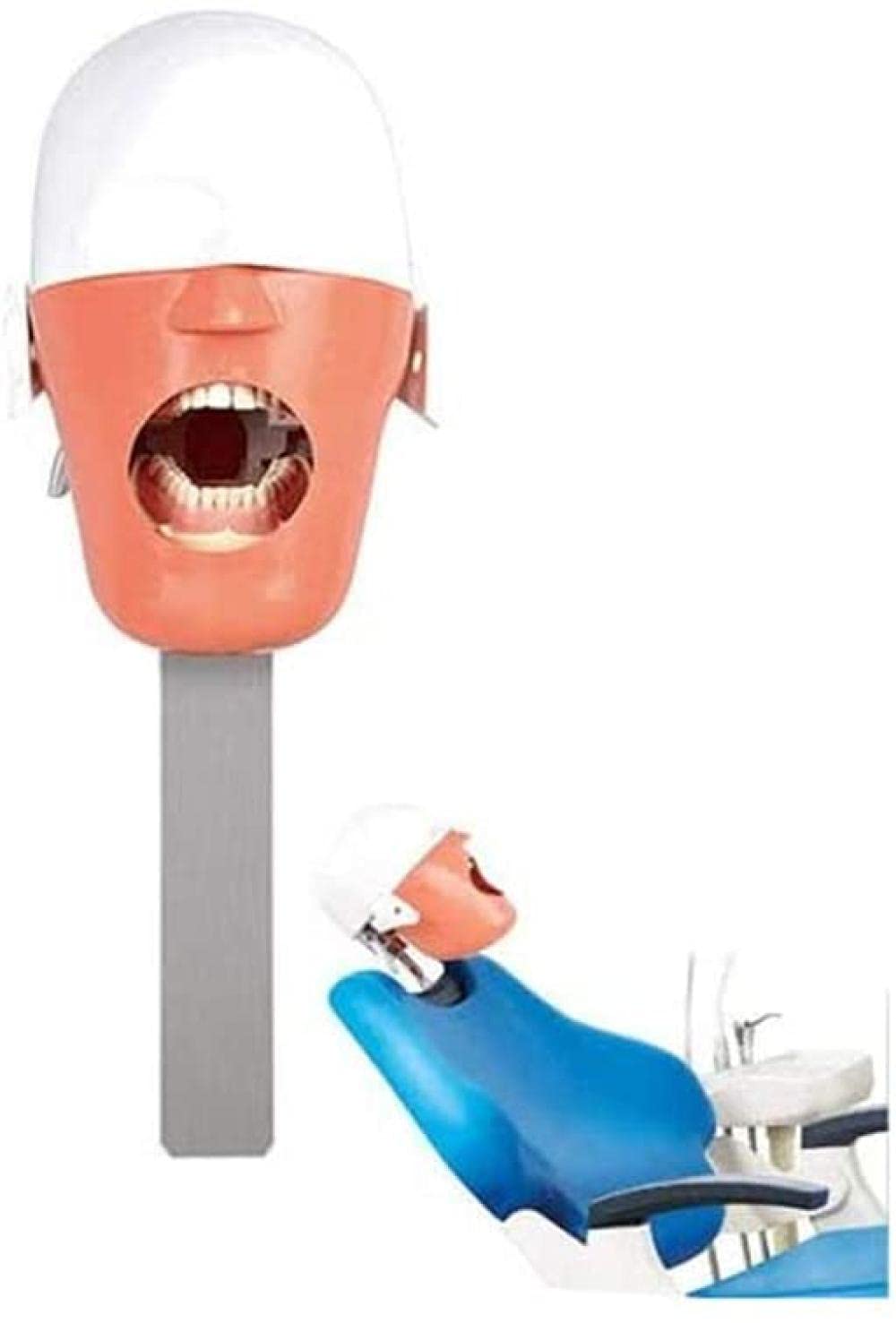 Simulateur dentaire fantôme NaoSIn-Ni avec modèle de dents complet pour formation