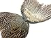 1 Pair - Natural Ringneck Pheasant Rooster Whole Wing Feather Set (Left and Right) Hound Training Fly Tying Supply