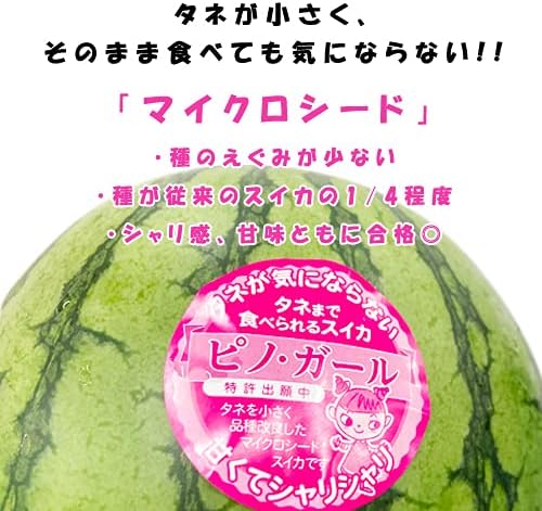 ピノガール １玉入り マツコの知らない世界でも紹介されました！種まで食べれる小玉すいか！西瓜の革命！