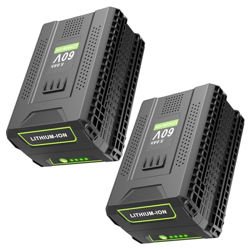 2-Pack 60V 5.0Ah Greenworks