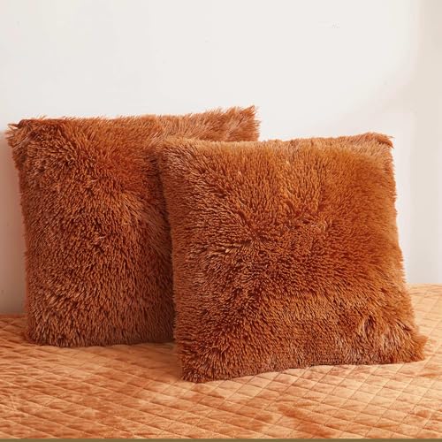 LIFEREVO 2 Pack Fluffy Faux Fur Pillow Shams, 18 x 18 Inches Throw Pillow Covers, Luxury Decorative Furry Pillowcases Cushion Cover for Christmas, Zipper Closure, No Pillow Insert, Burnt Orange