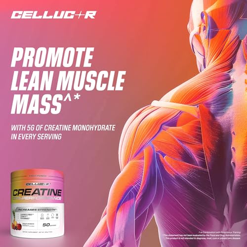Image of Cellucor Creatine Powder, Fruit Punch Flavor - Increases Strength, Lean Muscle Mass & Endurance, Micronized Creatine for Fast Absorption, 5g Creatine per Serving, 50 Servings