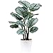 63 cm künstliche Pflanzen Calatheas Orbifolia Goeppertia Orbifolia Pflanze Tropisches künstliches grünes Pflanzenarrangement im Topf für Hausgarten Büro Dekoration