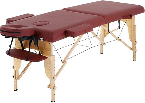Dkeli Mesa de masaje portátil, cama de spa plegable de 84 pulgadas de altura ajustable con 2 pliegues y funda de transporte, piel sintética,