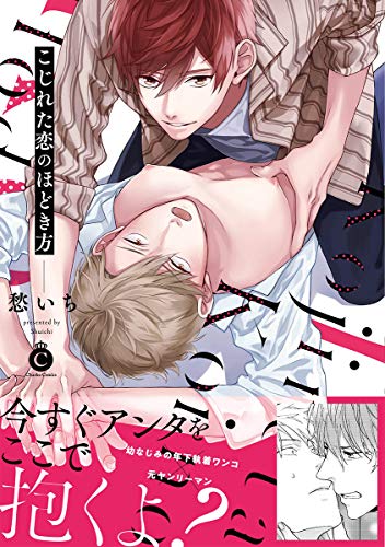 こじれた恋のほどき方