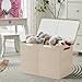 Bagnizer Large Toy Storage Box with Lids, Collapsible Sturdy Baby Storage Organizer Chest Bin Basket for Kids, Boys, Girls, Playroom, Nursery, Bedroom, Closet 25