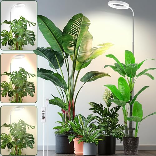 Plant Grow Light 160mm Dia, LED Growing Lamp Full Spectrum for Indoor Plant, Height Adjustable Plant Light with Auto On/Off Timer 3/9/12H,4 Dimmable Brightness, Ideal for Small Plant (White)
