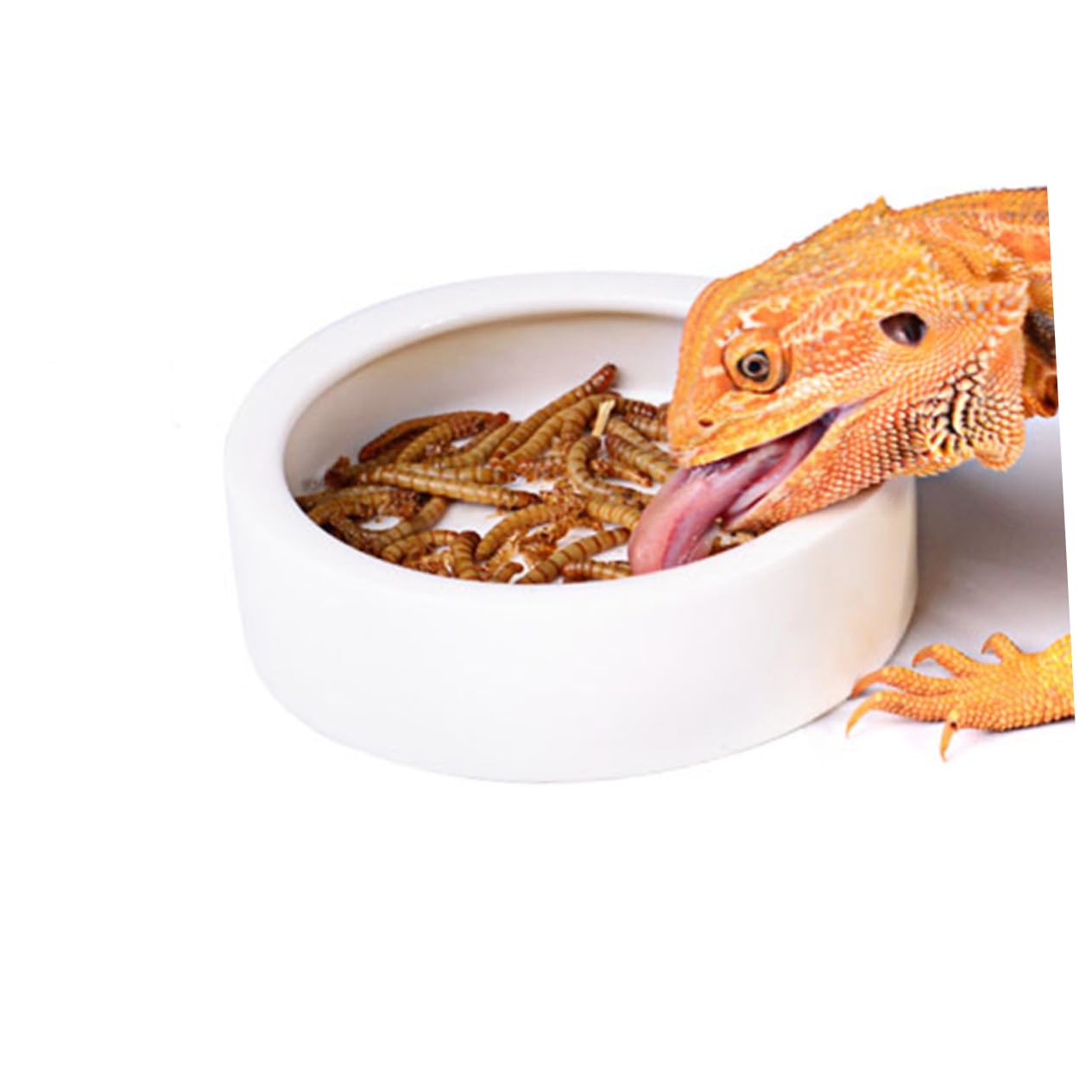 Happyyami Ceramic Pet Feeding Bowl -Escape Round Dishes for Shrimp Fish Lizards Spiders 9.5x9.5x3cm