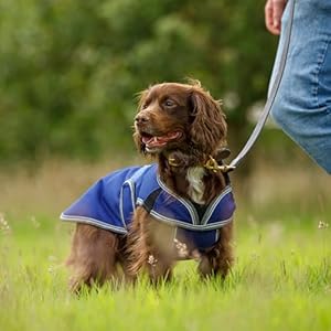 Weatherbeeta comfitec premier free parka deluxe dog coat medium dark bluegreywhite 20  urban country home decor