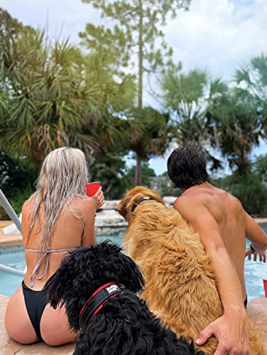 Black Rhino - Das Comfort Halsband Super Weiches Neopren Gepostertes Hundehalsband für alle Hunderassen - Hochbeanspruchbar Verstellbar Reflektierend Wetterfest (Mittel, Rot/Schwarz)