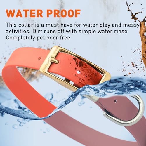 Image of Viper Biothane Heavy Duty Waterproof Dog Collar Strong Coated Nylon Webbing w /Solid Brass Hardware Odor-Proof Easy to Clean High Performance Fits Small Medium or Large Dogs, Coral