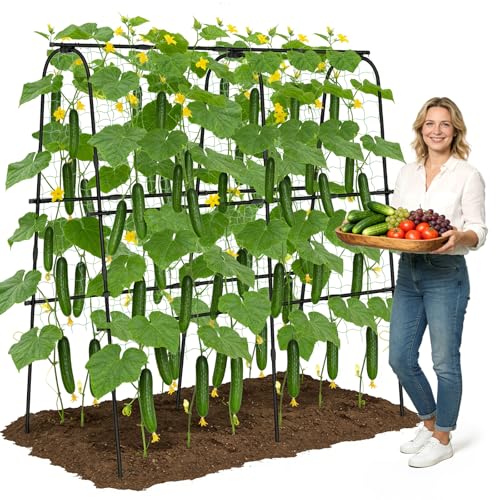 62 Hx62 L Cucumber Trellis for Raised Bed U-Shape Garden Trellis for Climbing Plants Outdoor Metal Arch Plant Support with Netting for Cucumbers Beans Tomatoes & Climbing Vegetables (Black)