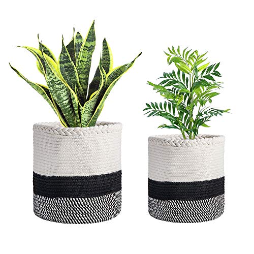 WALTSOM Cotton Rope Plant Baskets, 2 Pack Modern Woven Basket with Handle for Indoor Flower Pot, Storage Organizer Laundry Bins for Crafts Toys Towels (11x11 & 10x10, No Plant)