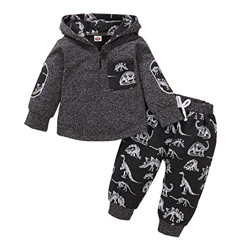 SANMIO Infant Toddler Baby Boys Girls Clothes Hoodie Outfit Classic Plaid Sweatshirt +Pants Clothes Set Kids (Grey-Dinosaur, 6-12 Months)