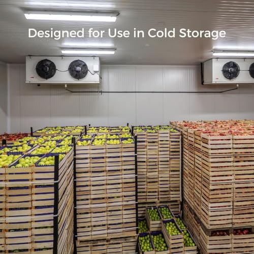 Men's Large Diamond Quilted Insulated Freezer Jacket; for Cold Storage, Grocery Staff (Chest 42-44)4