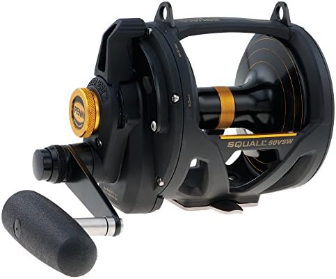 PENN 1292938 Squall Lever Drag 2-Speed Trolling Fishing Reel, 890/50, black, IGFA50